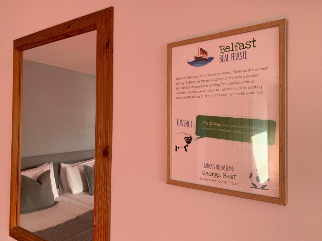 Dingle Marina Lodge Eksteriør bilde