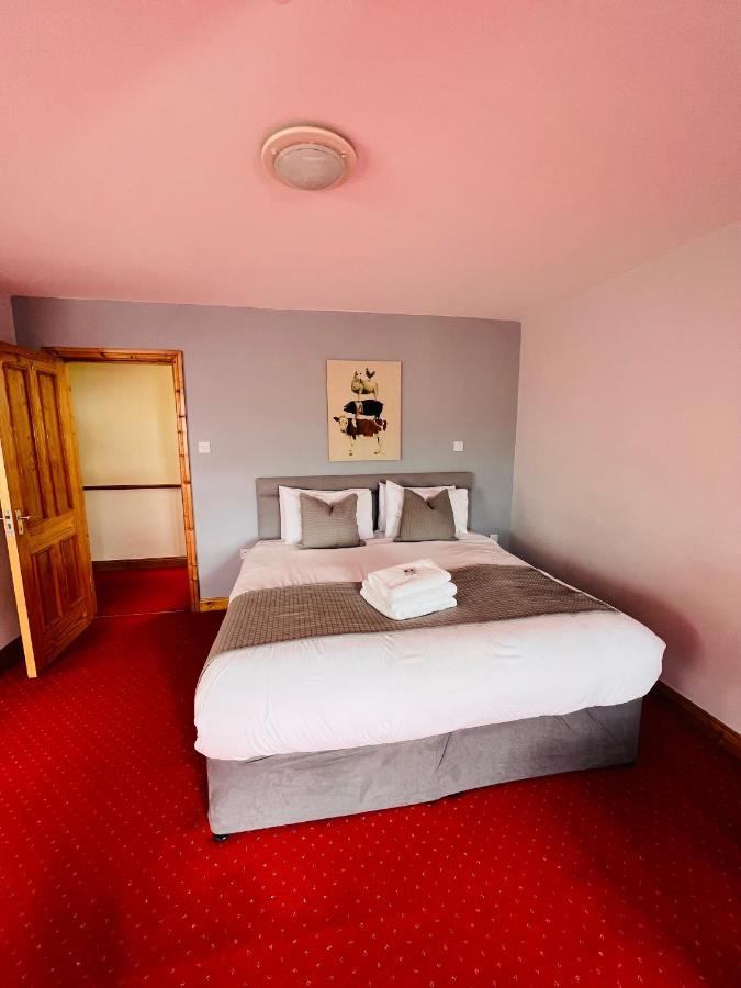 Dingle Marina Lodge Eksteriør bilde